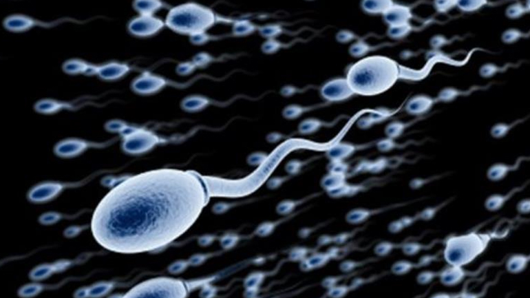 Γενετικό τεστ μπορεί να εντοπίσει την ανδρική υπογονιμότητα